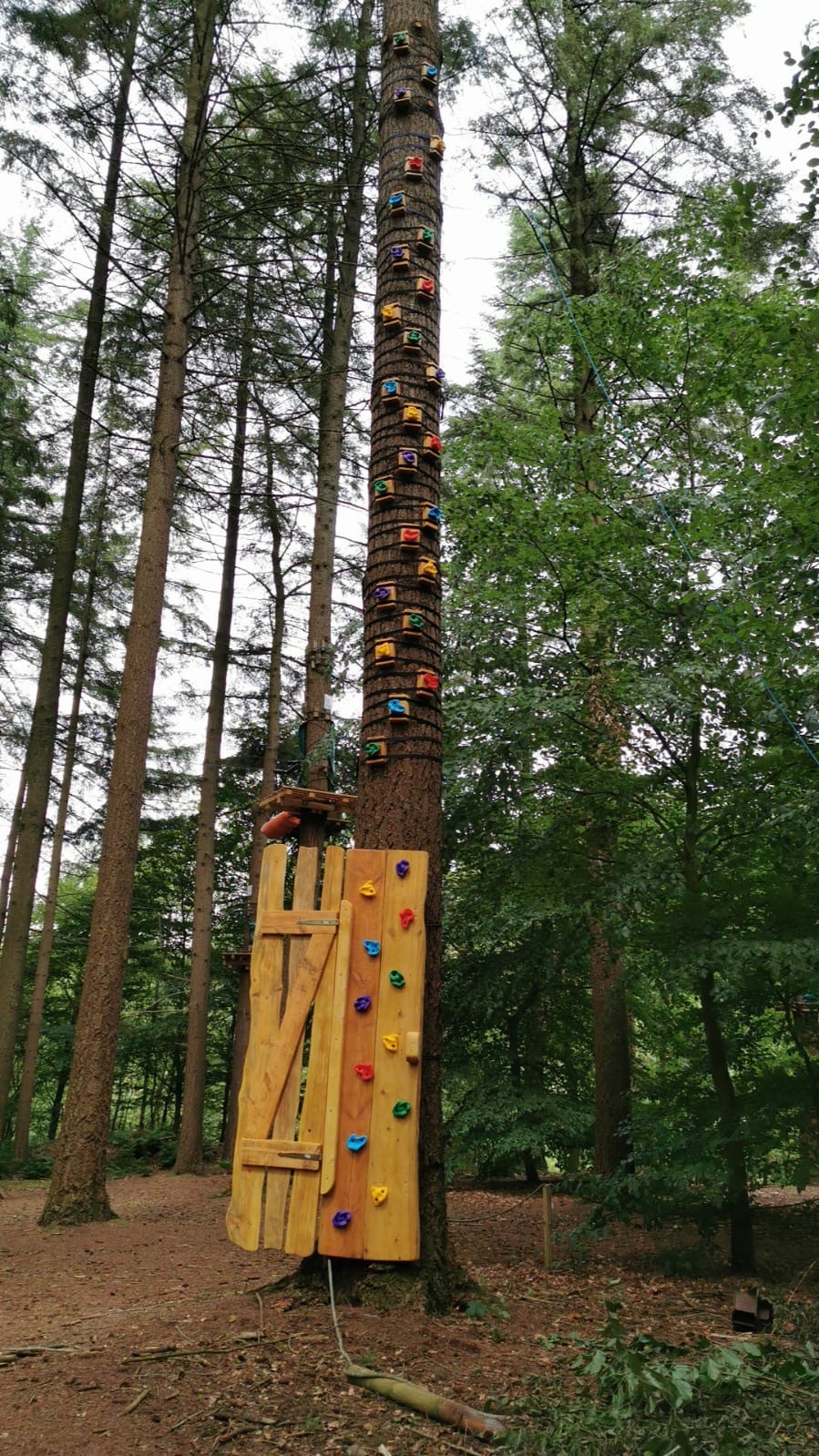 NEU ist der 12 Meter hoher Kletterbaum!